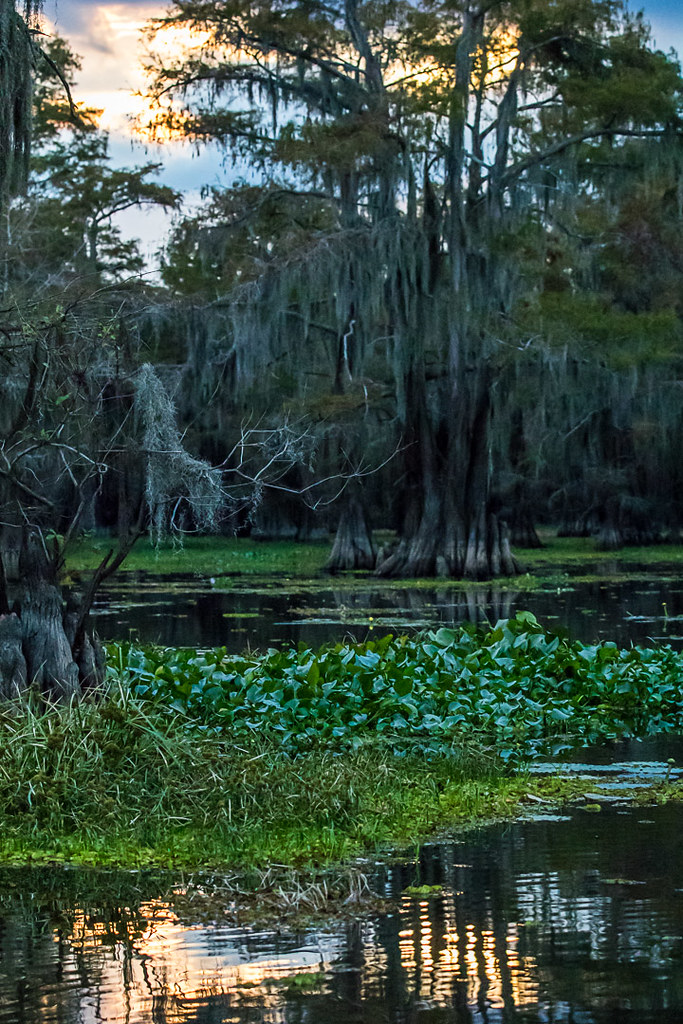 Caddo Lake Sunset Sunset at Caddo Lake Don Beene Flickr