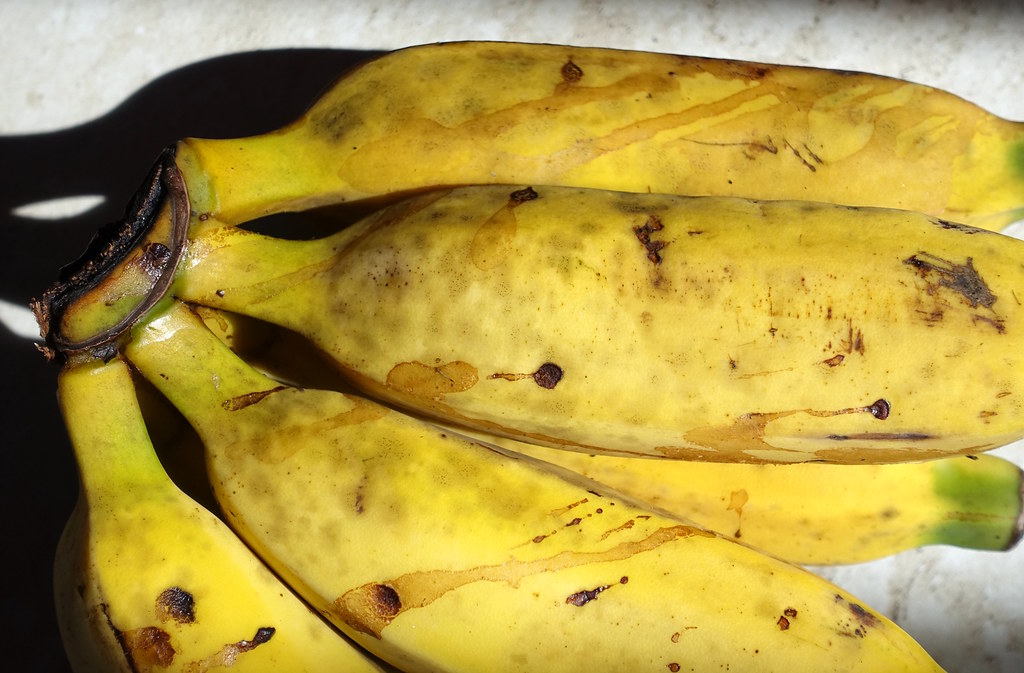 Banana Sap stain and sooty mold a photo on Flickriver