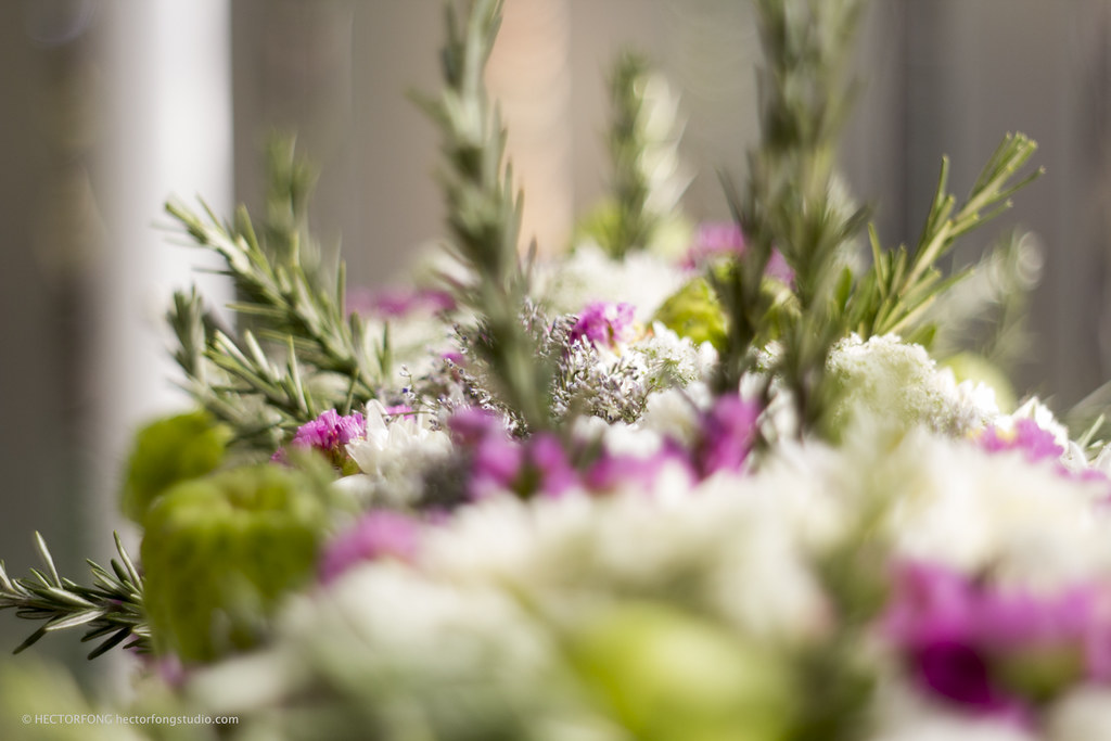 _MG_6076 Hector Fong Flickr