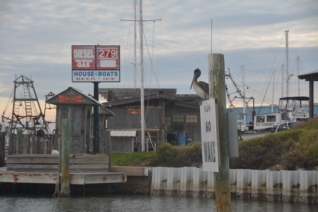 Cove Harbor Cool shot of Cove Harbor in Rockport, TX FirstCastFly
