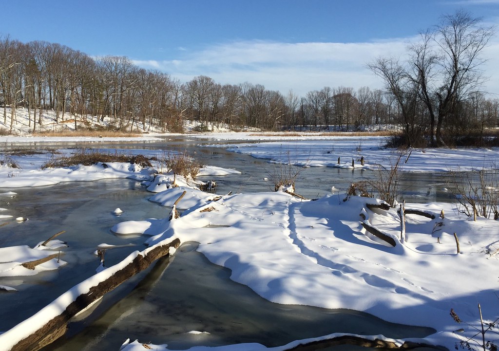 Day 48 Veteran's Park, Woodbridge, Virginia Judy Gallagher Flickr