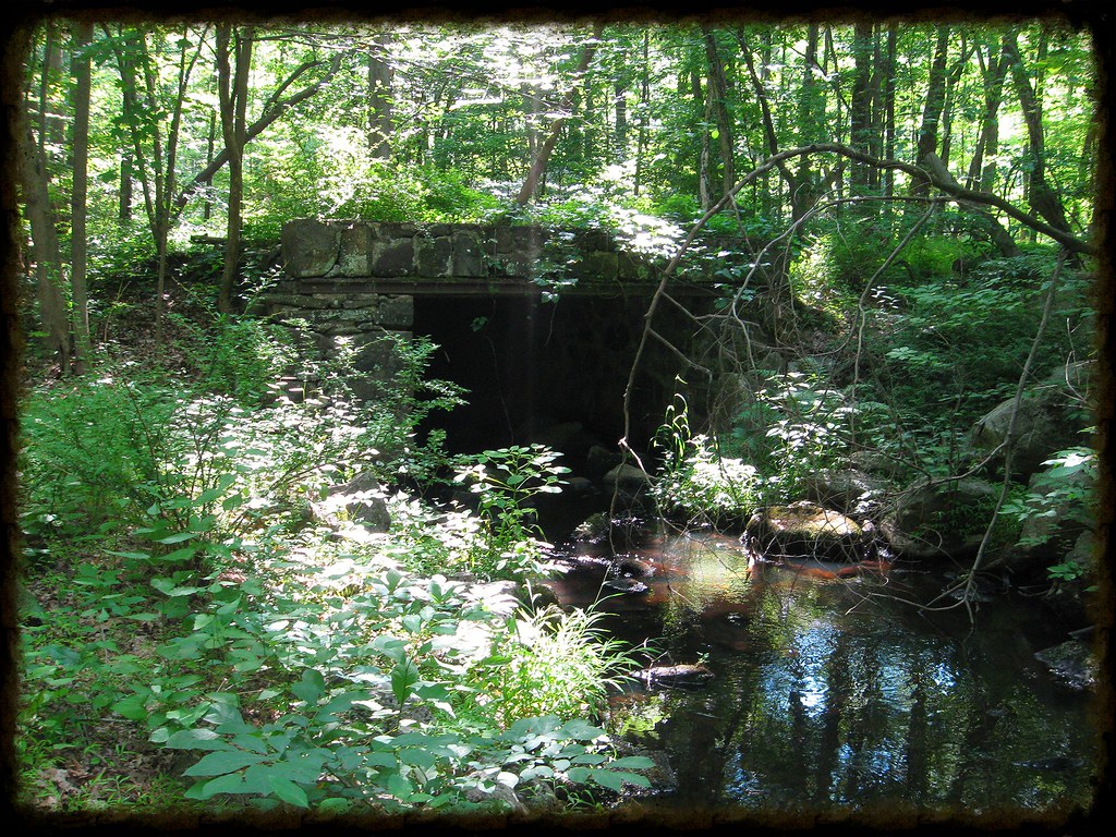 Timber Brook I took a nice break here by the brook. Mad Hare