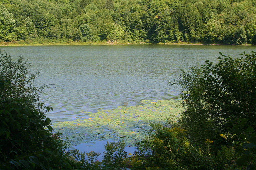 Prompton Stte Prk and dam bulletproofsoul67 Flickr