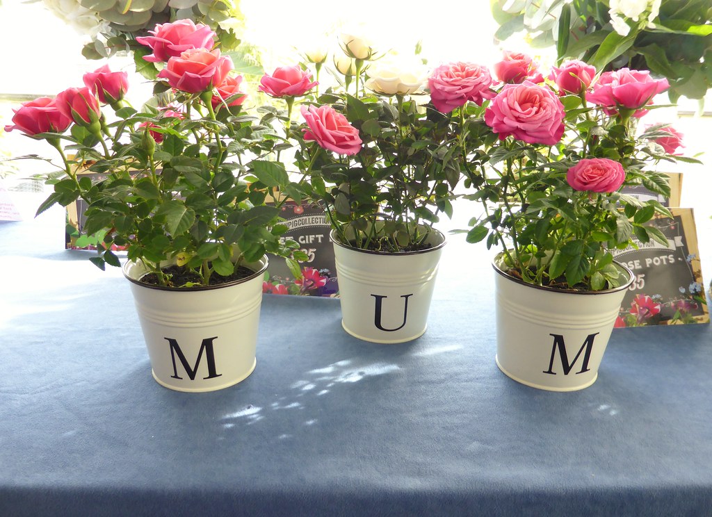 Moonpig mothers day flowers Leightonium Flickr