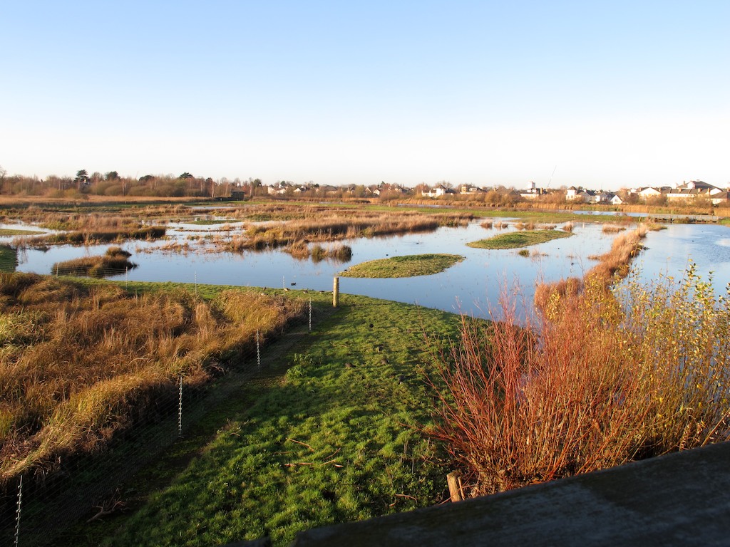 IMG_5570 Wader Scrape, London Wetlands Centre, Barnes MacP2007 Flickr