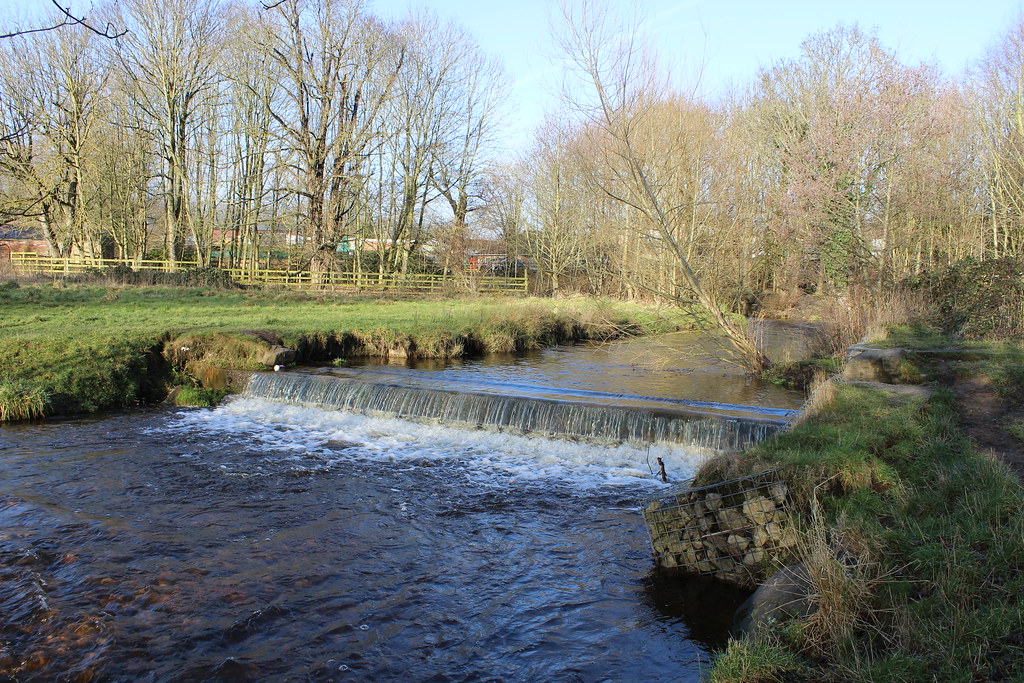 IMG_0317 CoedyGlyn Wood, Wrexham Rebeccawithers Flickr