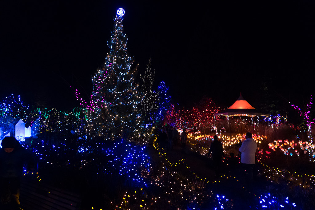 Van Dusen Christmas Lights1220151 Christmas at VanDusen B… Flickr
