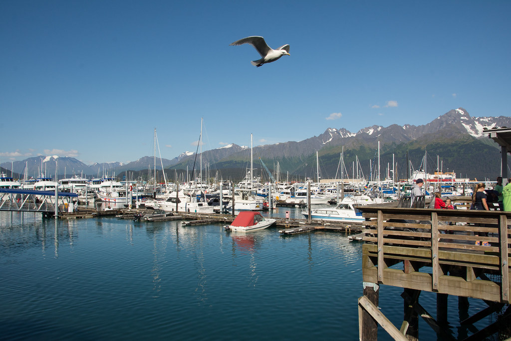Valdez harbour AK DSC_7295MEDLEY_AK_OK Laurent Ceres Flickr