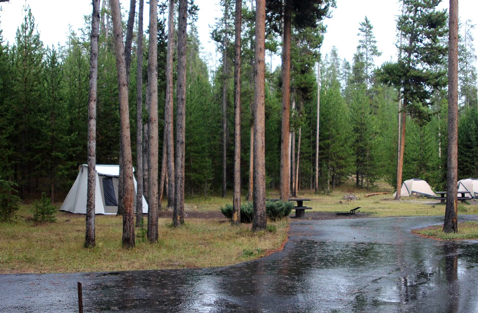 Madison Campground Sites at the Madison Campground Yellowstone