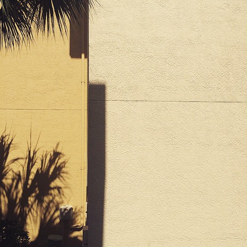 Florida textures via Instagram ift.tt/1FvxlpG Jeremy Bushnell Flickr