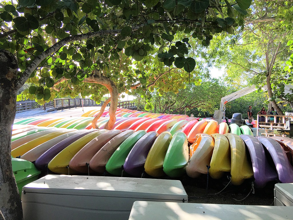 Kayaks John Pennekamp Coral Reef State Park offers kayak, … Flickr