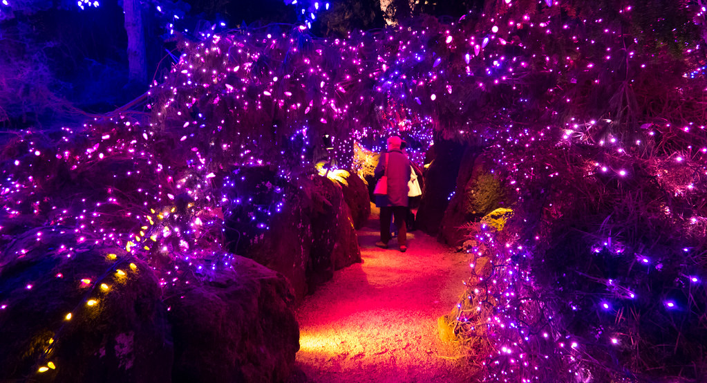 Van Dusen Christmas Lights1220171 Christmas at VanDusen B… Flickr