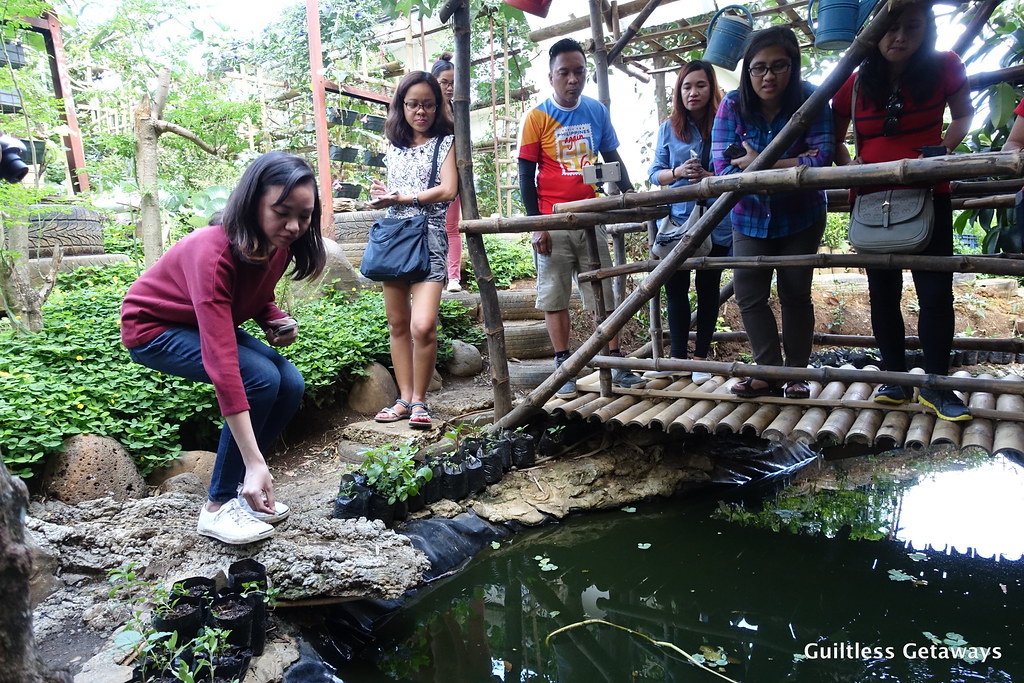 jayassecretgardenmalaybalaybukidnon.jpg Visit 10 Year … Flickr