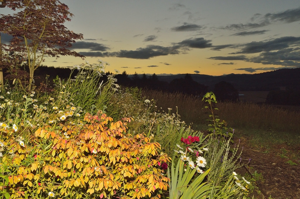 view fron the night Pictures from rural areas of oregon, U