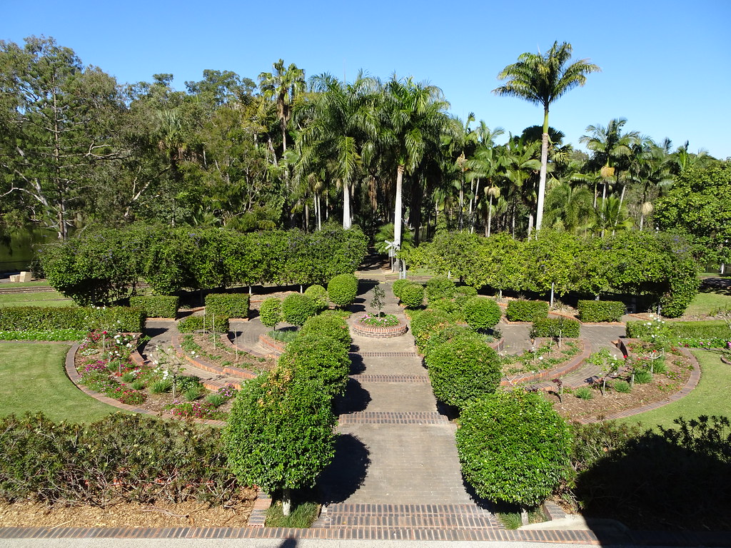 Bundaberg. Rose garden with tropical palms in the Bundaber… Flickr