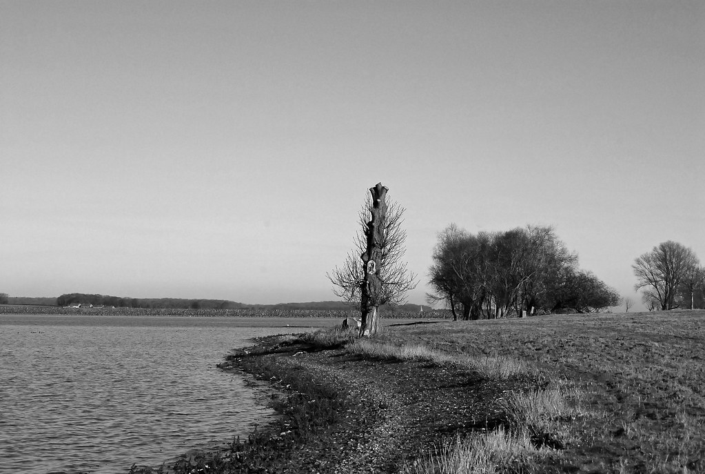 Rutland Water Rutland Water on a clear winter's day. It's No Game
