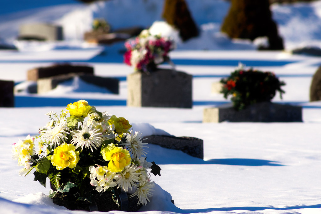 Flowers; Waterville, Maine Jody Roberts Flickr