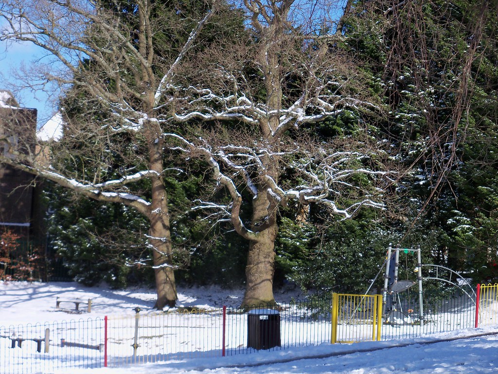 Haywards Heath snow Kim Berry Flickr