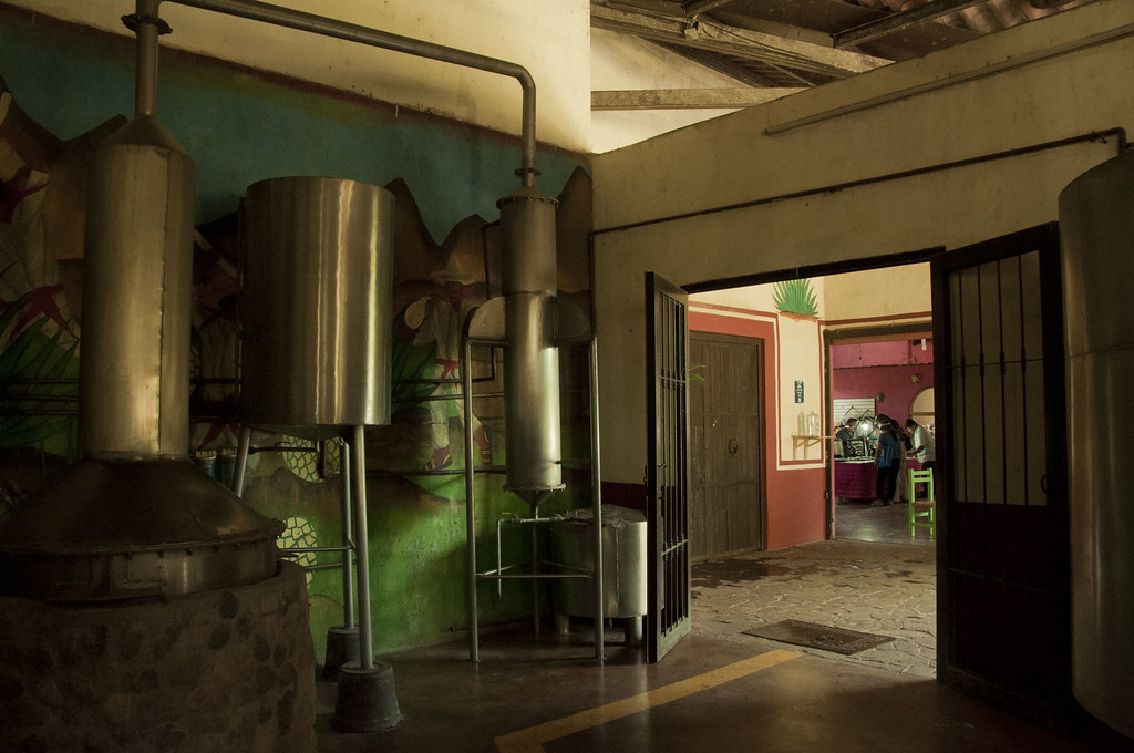 Tequila Factory in Puerto Vallarta Sunayna Almal Flickr