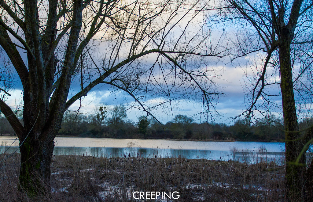 Ile Clémentine / St Luce Sur Loire Julien Laurent Flickr