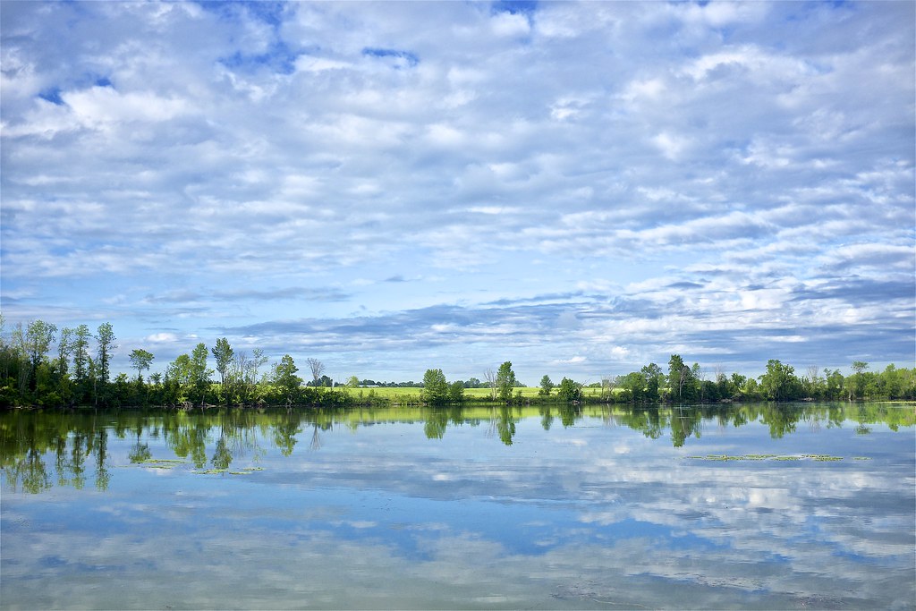 Parc Plaisance the still of morning The quiet still of m… Flickr