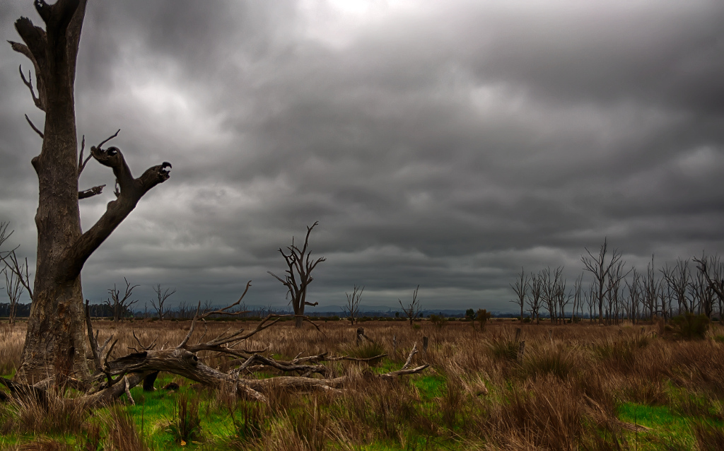 Winton Wetlands ABC Weather Vic Winton Wetlands this morni… Flickr