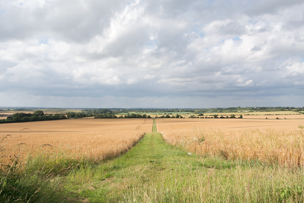 Photos Arlesey to Letchworth Garden City Walk SWC