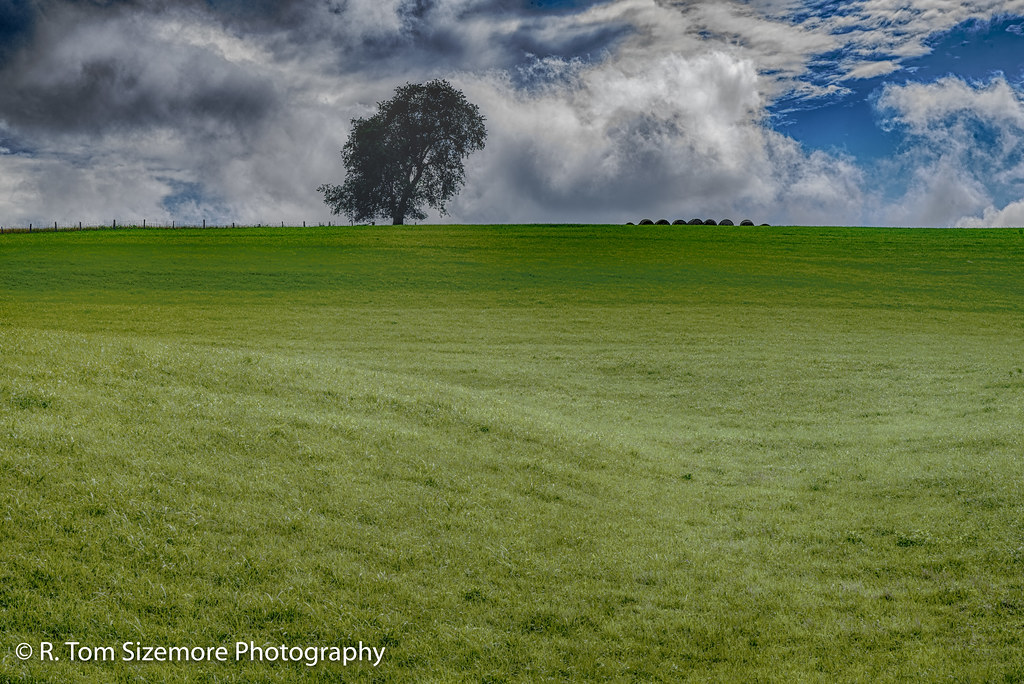 Elevation of Muddlety, WV, USA Topographic Map Altitude Map
