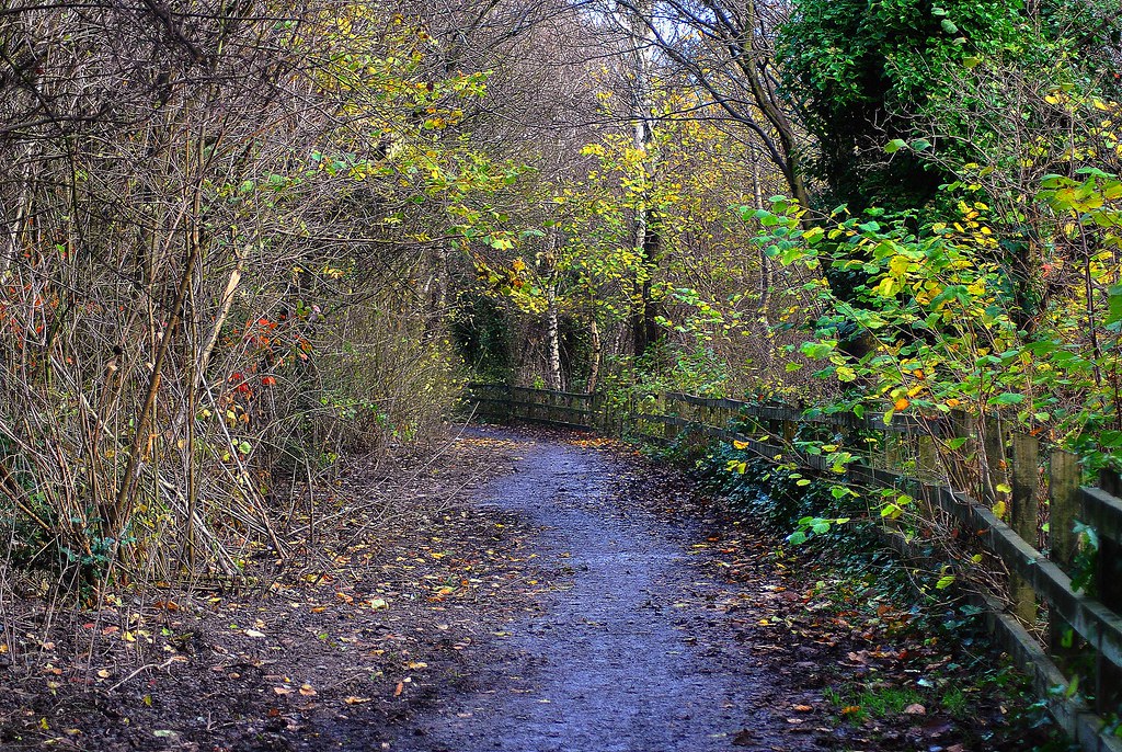 A winters way Leesbrook park Oldham gordon simpson Flickr