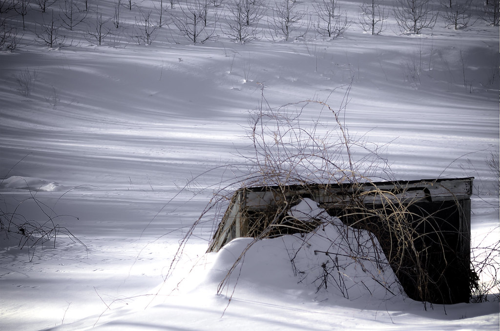 Lavoie's Farm in the orchard Michael Bartoshevich Flickr