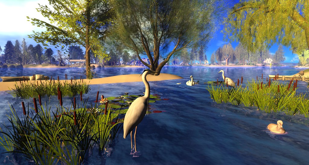 Prides Crossing Gnarled, overgrown, wooded isle in New Eng… Flickr