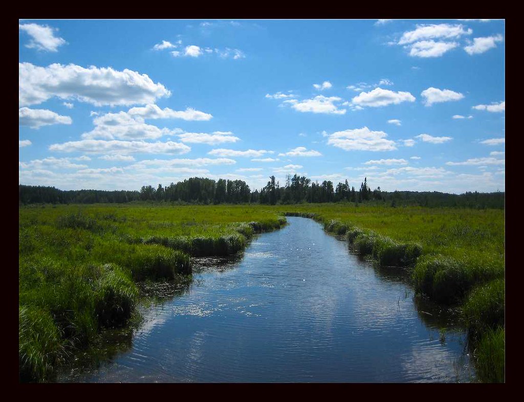 Nemadji State Forest Minnesota Jim Brekke Flickr