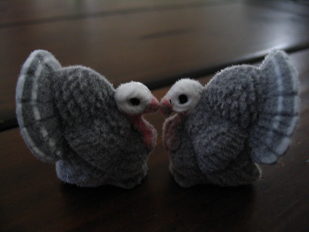 And now they kiss The turkeys consumate their love. On my … Flickr