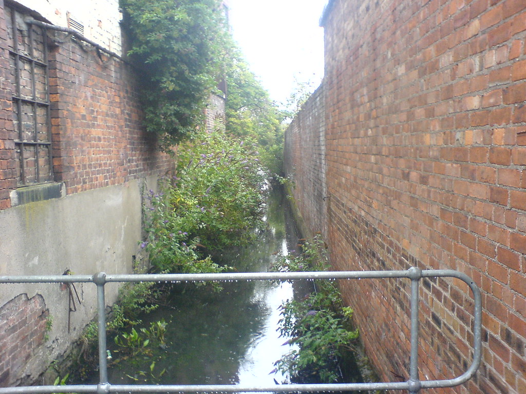 Camlachie Burn In the Bridgeton area of Glasgow in the mid… Flickr