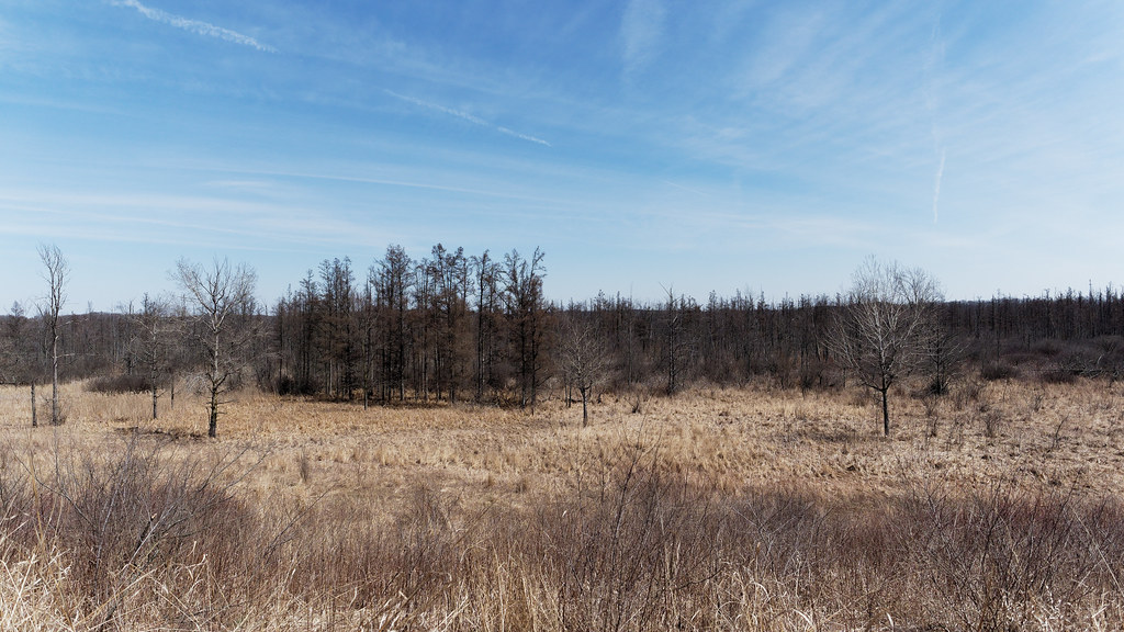 Baker Sanctuary Michigan Audubon's Bernard Baker Sanctuary… Flickr