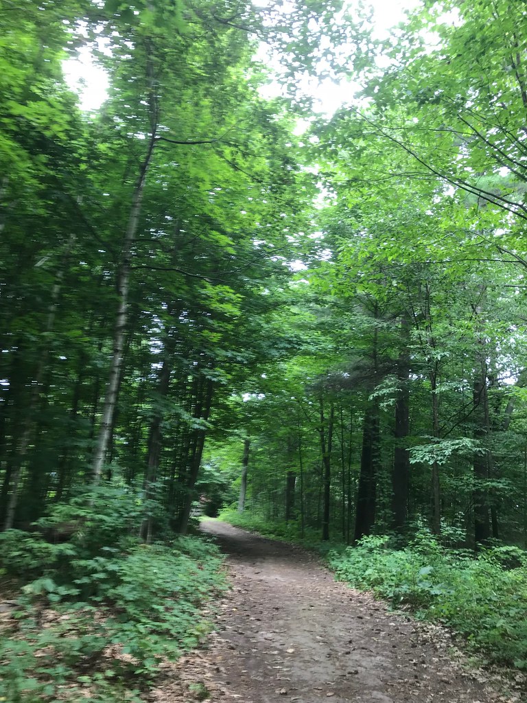 Fox Island, Lake Simcoe. July 2018 Doris Flickr