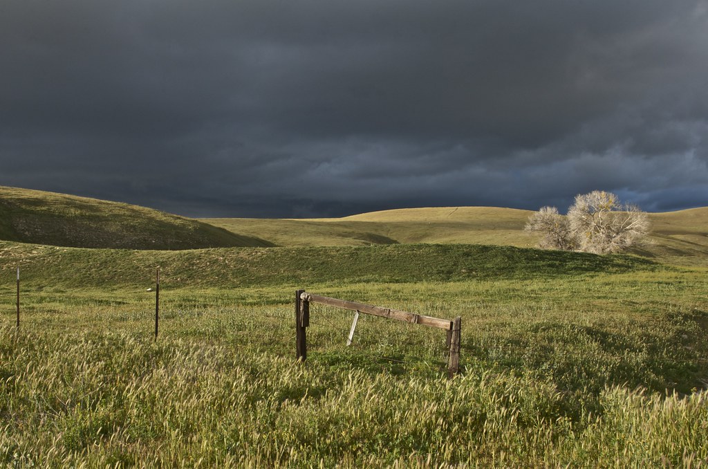 East Of Shandon Another drizzly day on the back roads of S… Flickr