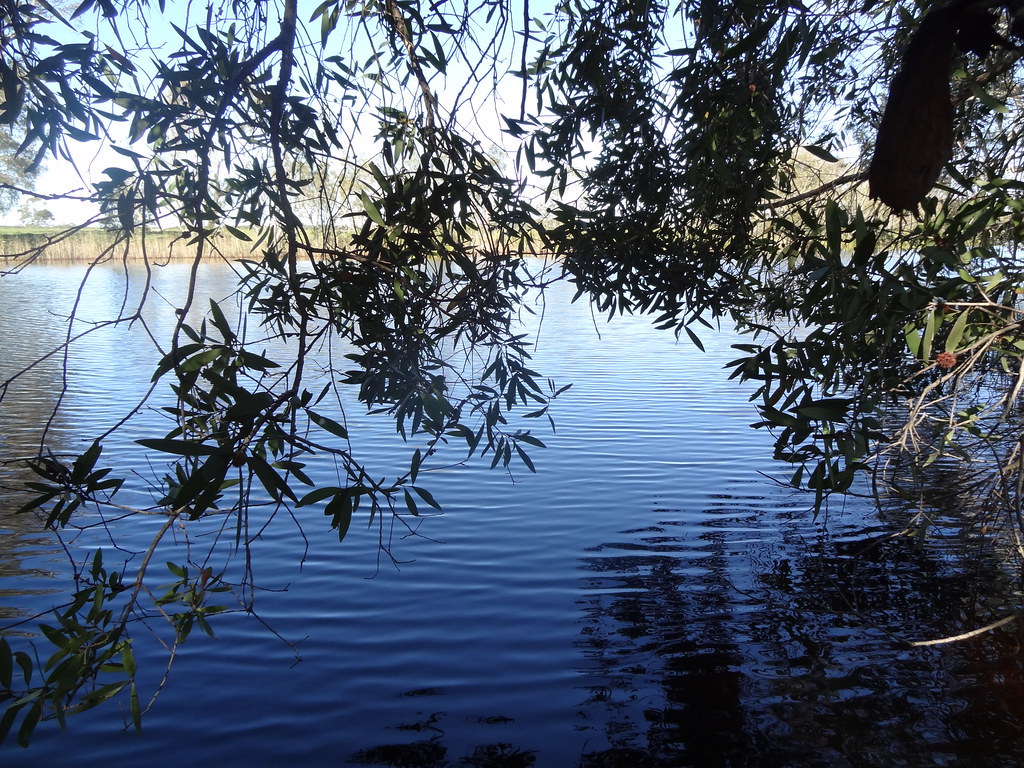 Site 525_Great Lakes, NSW Flickr