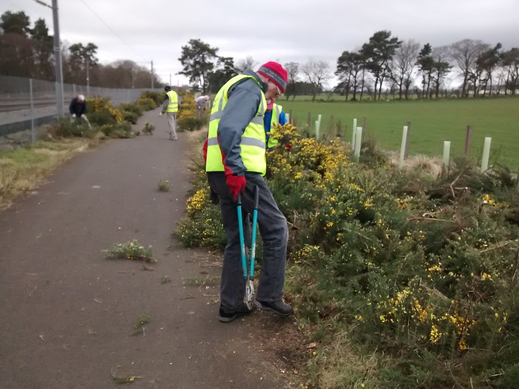 IMG_20160411_114816675 Cutting gorse NCN75 Birniehill, Bat… Flickr