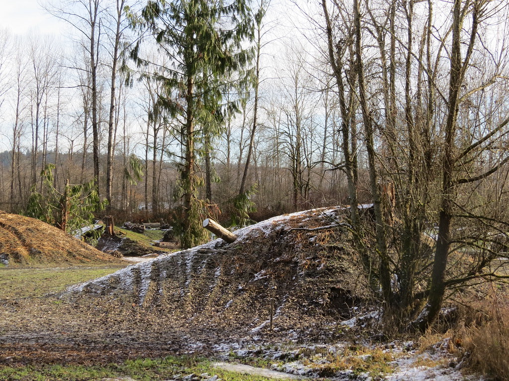 Phase 2a Floodplain South Fork Road Phase 2a FbD Site Vi… Flickr