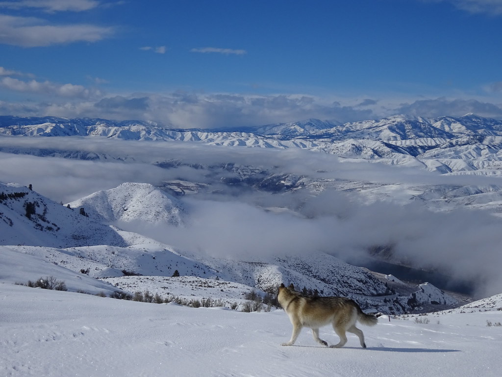 Throwback Thursday winter snowshoeing along the Waterville… Flickr