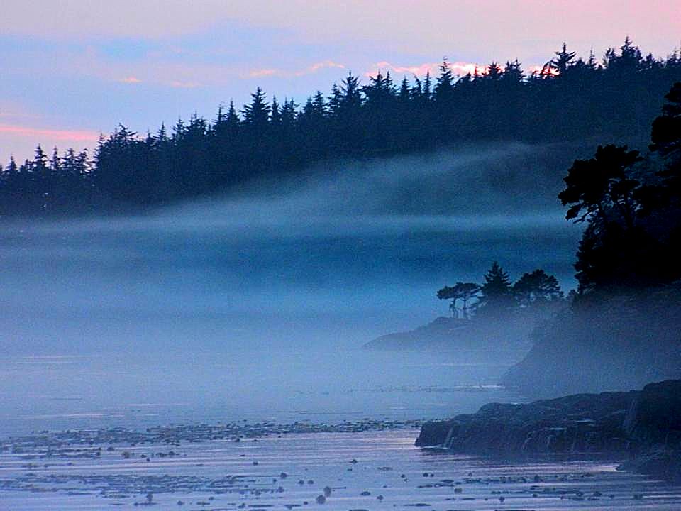 Mist Hanson Island Johnstone Strait Nicky Judd Flickr