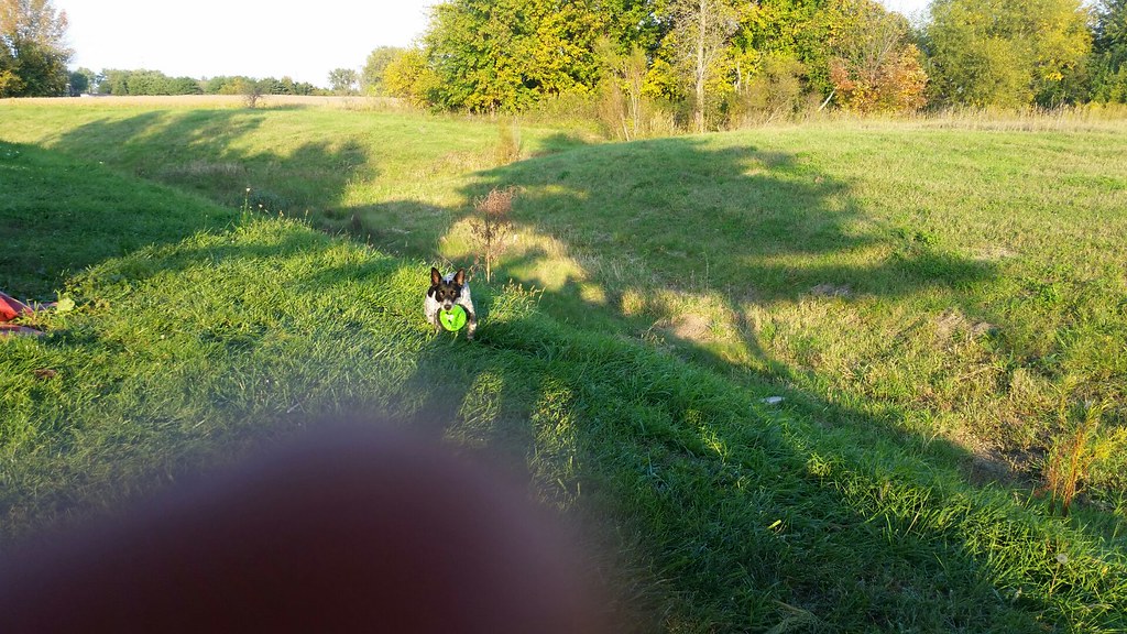 20141001_182716 Mandy Elders Flickr