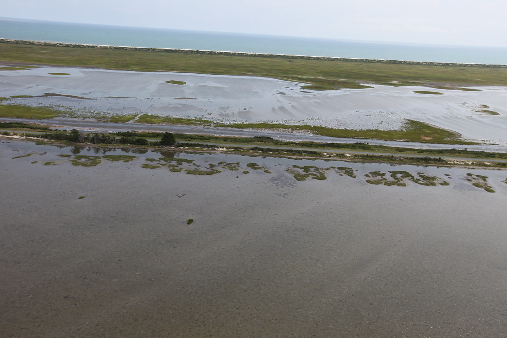 Day 4 Tom's Cove, Chincoteague National Wildlife Refuge… Flickr