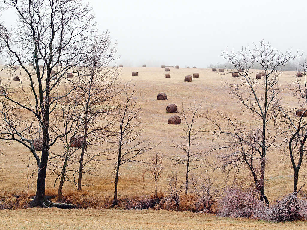 haybalesinfrost Hay Bales in Frost near Flemington, New Je… sam