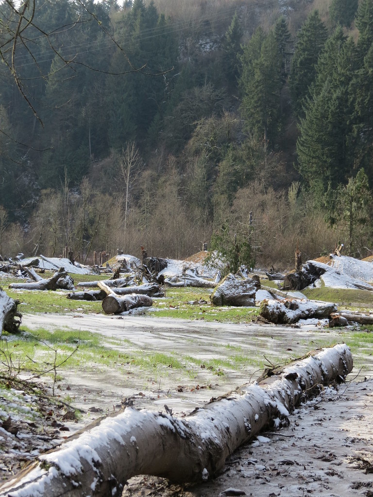 Phase 2a Floodplain South Fork Road Phase 2a FbD Site Vi… Flickr