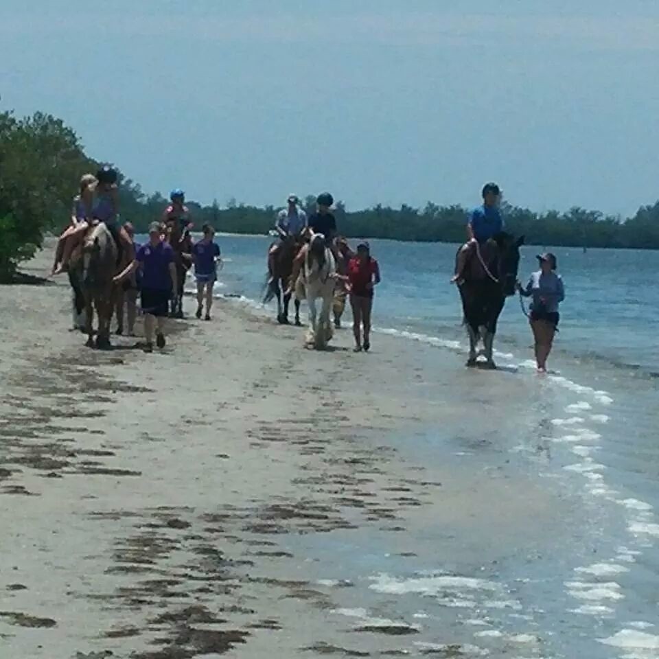 Bradenton Beach Horses Cponies Beach Horseback Riding in B… Flickr