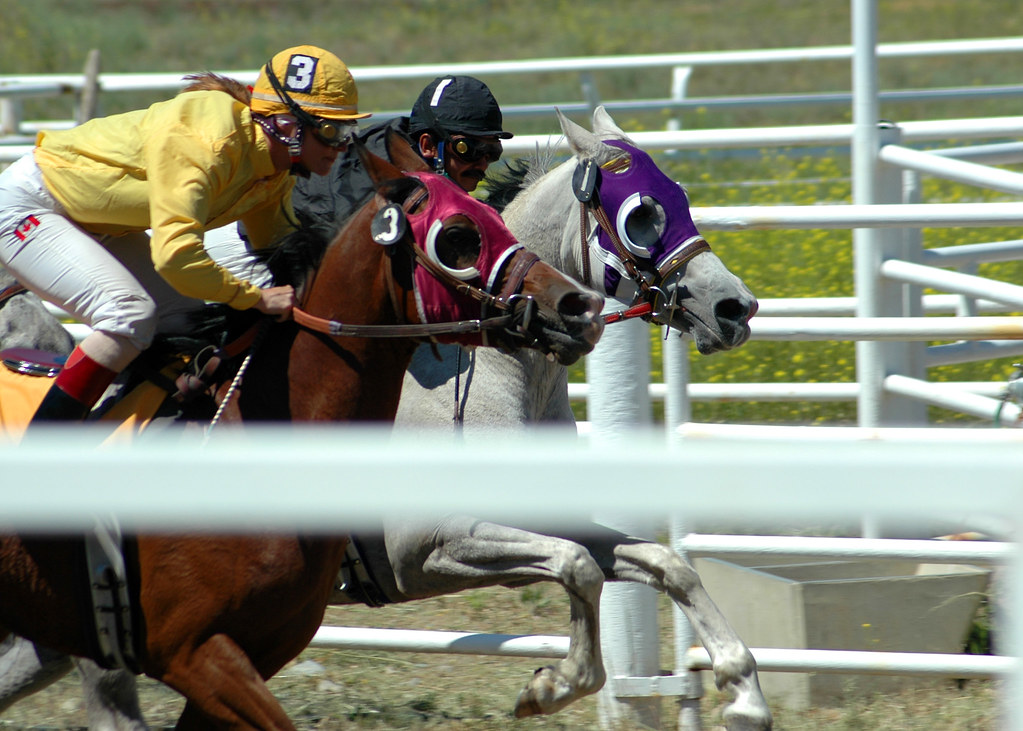 Princeton Horse racing is a big part of Princeton's herita… Flickr