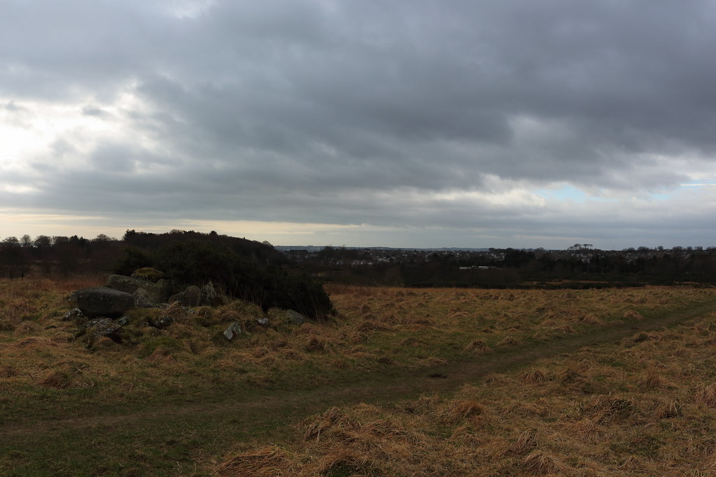 Scotstown Moor,Perwinnes Moss,Bridge of Don,Aberdeen Flickr