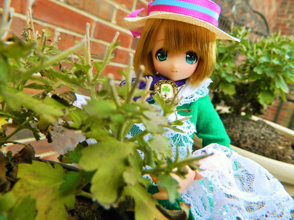 Marion's Garden Historical.Dreams Flickr